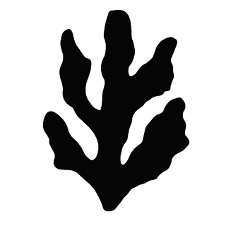 water plant silhouette