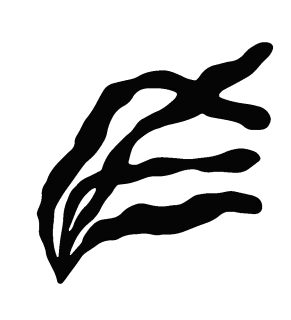 water plant silhouette