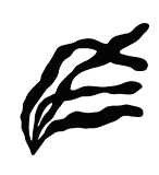 water plant silhouette