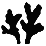 water plant silhouette