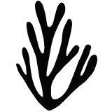 water plant silhouette