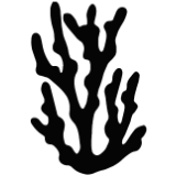 water plant silhouette