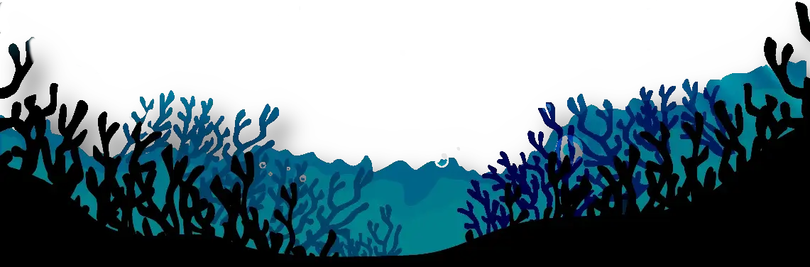 the sea bottom
