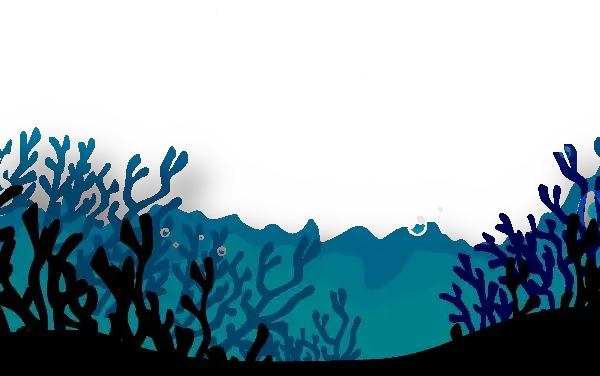 the sea bottom