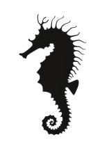 a seahorse